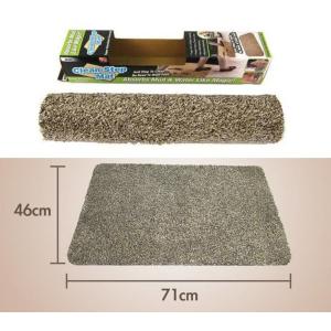 Clean Step Mat Absorbs Mud Like Magic