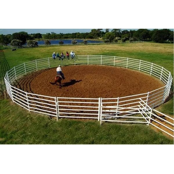 Pvc Coated Strong Steel Pipe 60mm Cattle Corral Panels