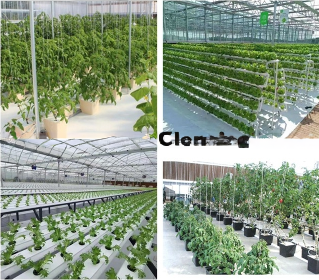 Vegetable Fruits Flowers Film Greenhouse Chinese Multi Span Greenhouse for Tomato Agriculture