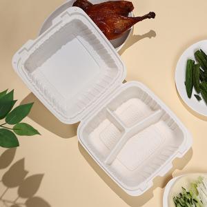 China 830ml 30oz Transparent PP Hinged Lid Microwave Container 8''X8.5''X3'' wholesale