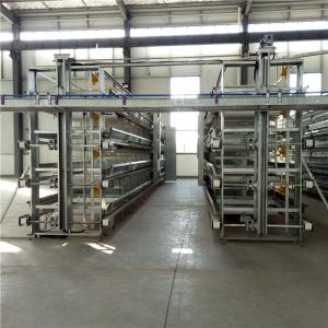 China Poultry Farm Automatic Egg Collection System For A Cage H Cage on sale