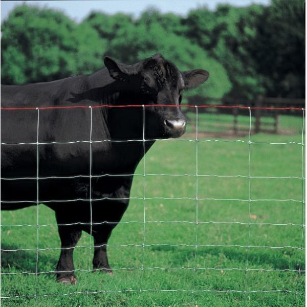 Commercial Galvanized Field Fence For Live Stock Easy Maintenance