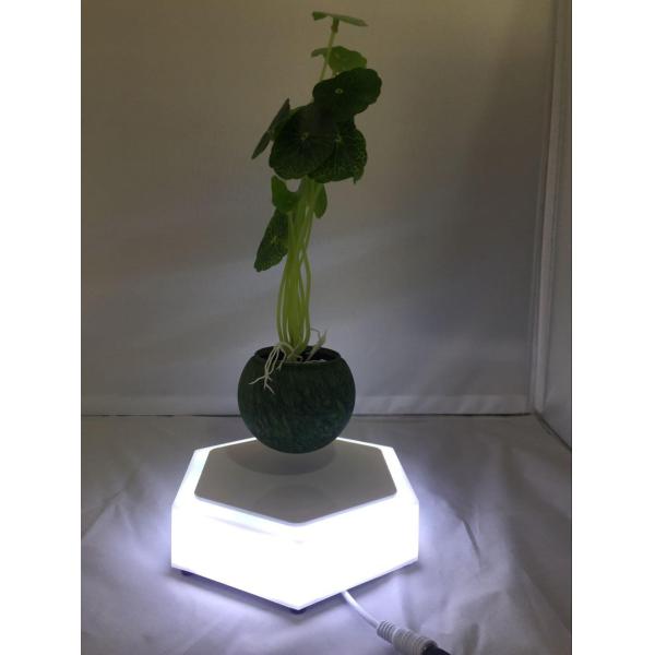 new led light customize magnetic floating levitating air bonsai potted plant trees