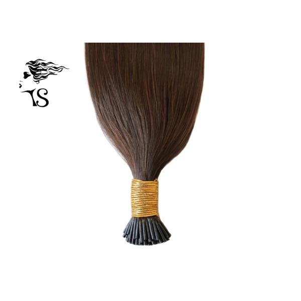 Mongolian Remy Brown Colored Human Hair Extensions I Tip 20 inch No Lice