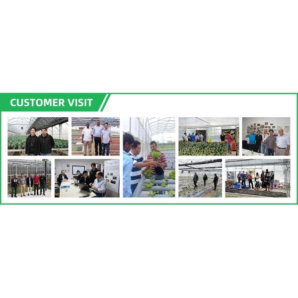 Film Surface Material Multi-Span Agricultural Greenhouses IGreen Greenhouse