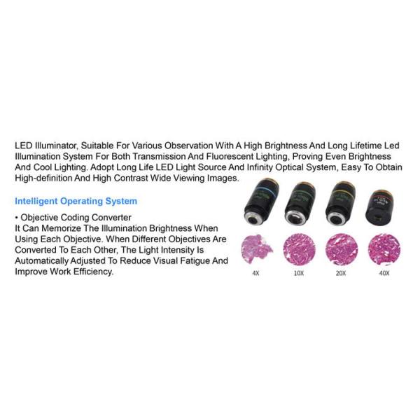 OPTO EDU A14.1064 Inclined Phase Contrast Fluorescence Microscope