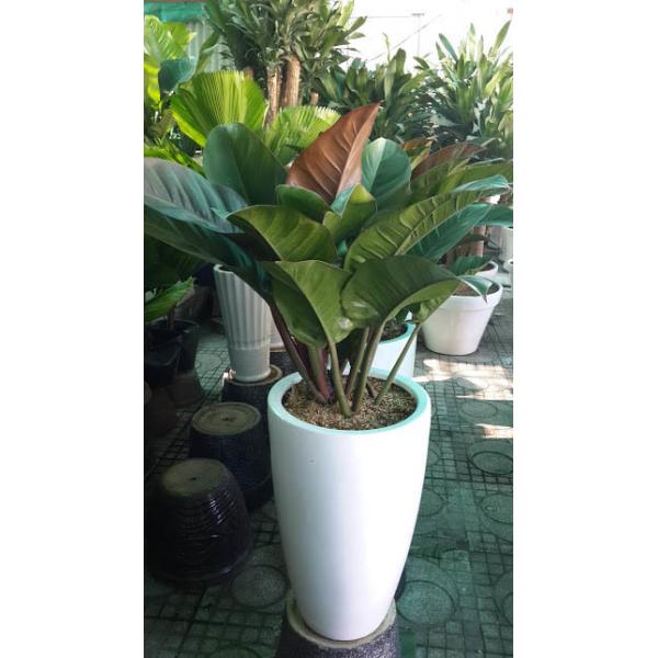 Round Large Fiberglass Flower Pots for Outdoor Street Landscape