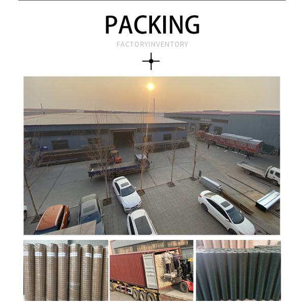 Sell Well New Type factory low price PVC coated wire mesh /Chicken coop wire netting manufacturer