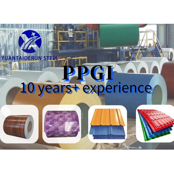 1mm Thick PPGI Steel Coil Dx51d Color Prepainted Galvanized Steel Coil