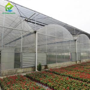 Strawberry Tomato Cucumber Growing Plastic Film Greenhouse For Commercial