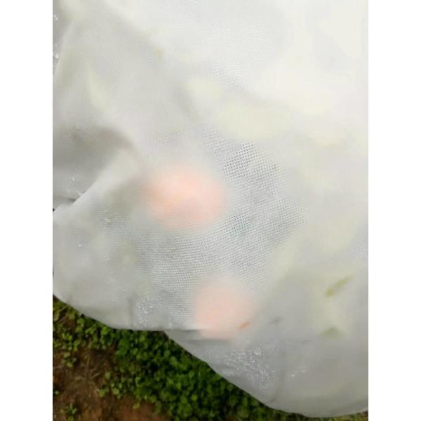 Hydrobilic Agriculture Non Woven Fabric PP Winter Protection No Pollution For Orchards