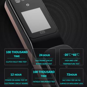 Tuya App Wifi Face Recognition Smart Fingerprint Automatic Front Door Locks
