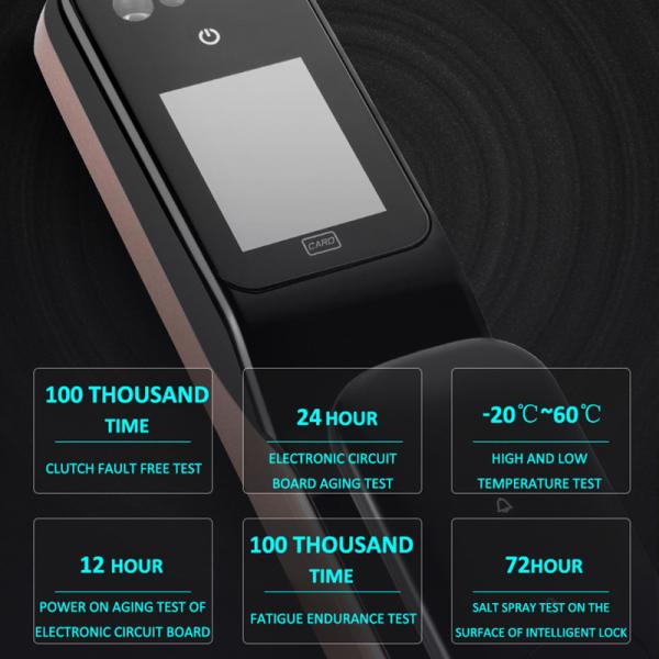 Quality Automatic Fingerprint Wifi Bluetooth App Face Recognition Door Locks for sale