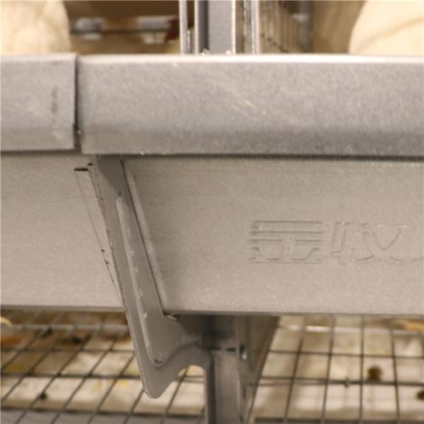 Customization H type Galvanized Layer Cages Q235 steel wire