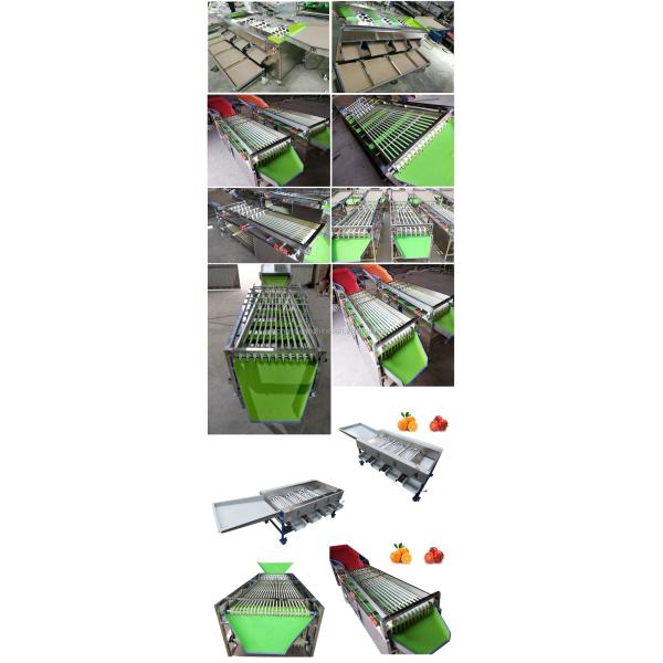 Potato Garlic Grader Sorter Fruit Vegetable Processing Machine For Sale