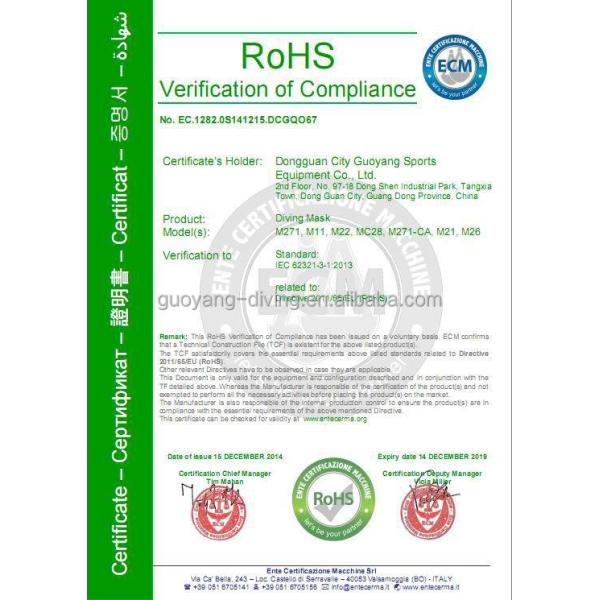 Face Scuba Diving Underwater Mask Snorkel Goggles Fins Gear