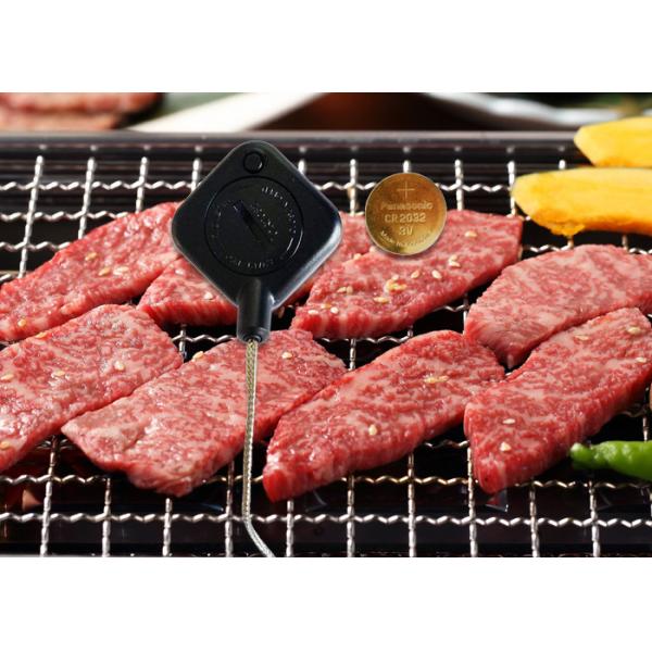 Wireless Smart Bluetooth Grill Thermometer For Outdoor BBQ Smoker Cooking