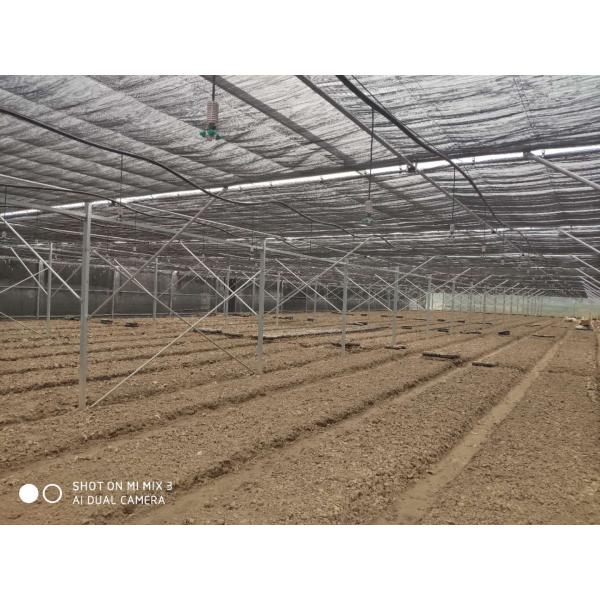 Reinforced Plastic Sheeting Greenhouse For Tropical Climate Prefabricated