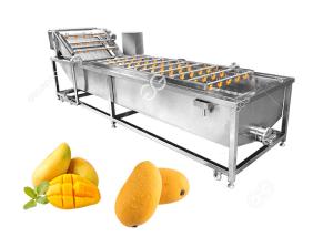 China Sterilization And Disinfection Mango Washing Machine Fruit Washing Machine Factory wholesale