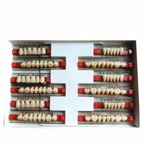 China Heraeus Dental Acrylic Resin Teeth High Stain Resistance Durability wholesale
