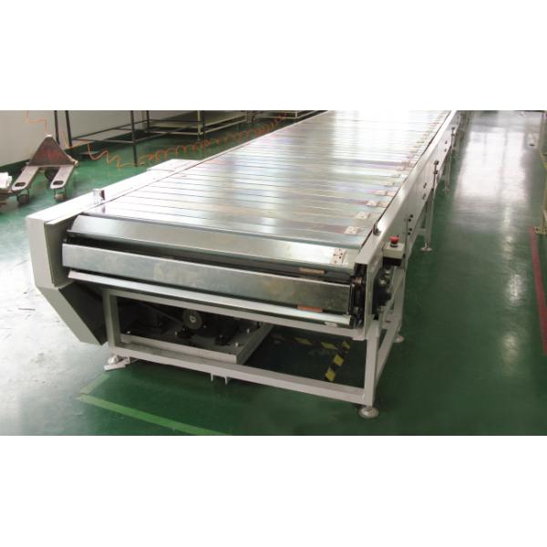 Box Conveyor & Sorting System