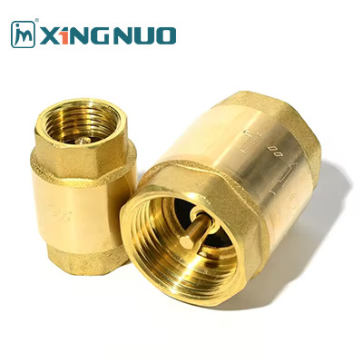 Brass Spring Check Valve 1/2 inch Check Valve Brass Male Thread Check Valve Connector Tool Vertical Check Valve