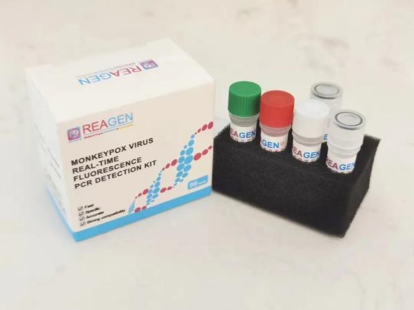 Quality High Sensitivity Monkeypox PCR Test Kit Fluorescence Real Time PCR Detection Kit for sale
