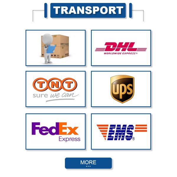 DIN43650 M12 Cable Hygienic Sanitary Pressure Transducer