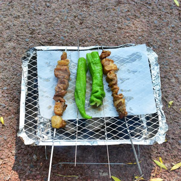Disposable Coal Grill 48x31x6cm Instant Mini Charcoal BBQ Grill
