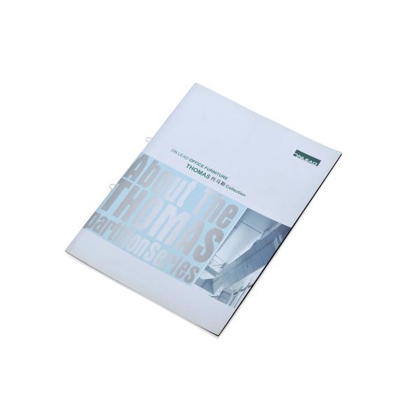 A4 Custom Peg Saddle Stitch Brochure Printing , Softcover Catalog Booklet Printing