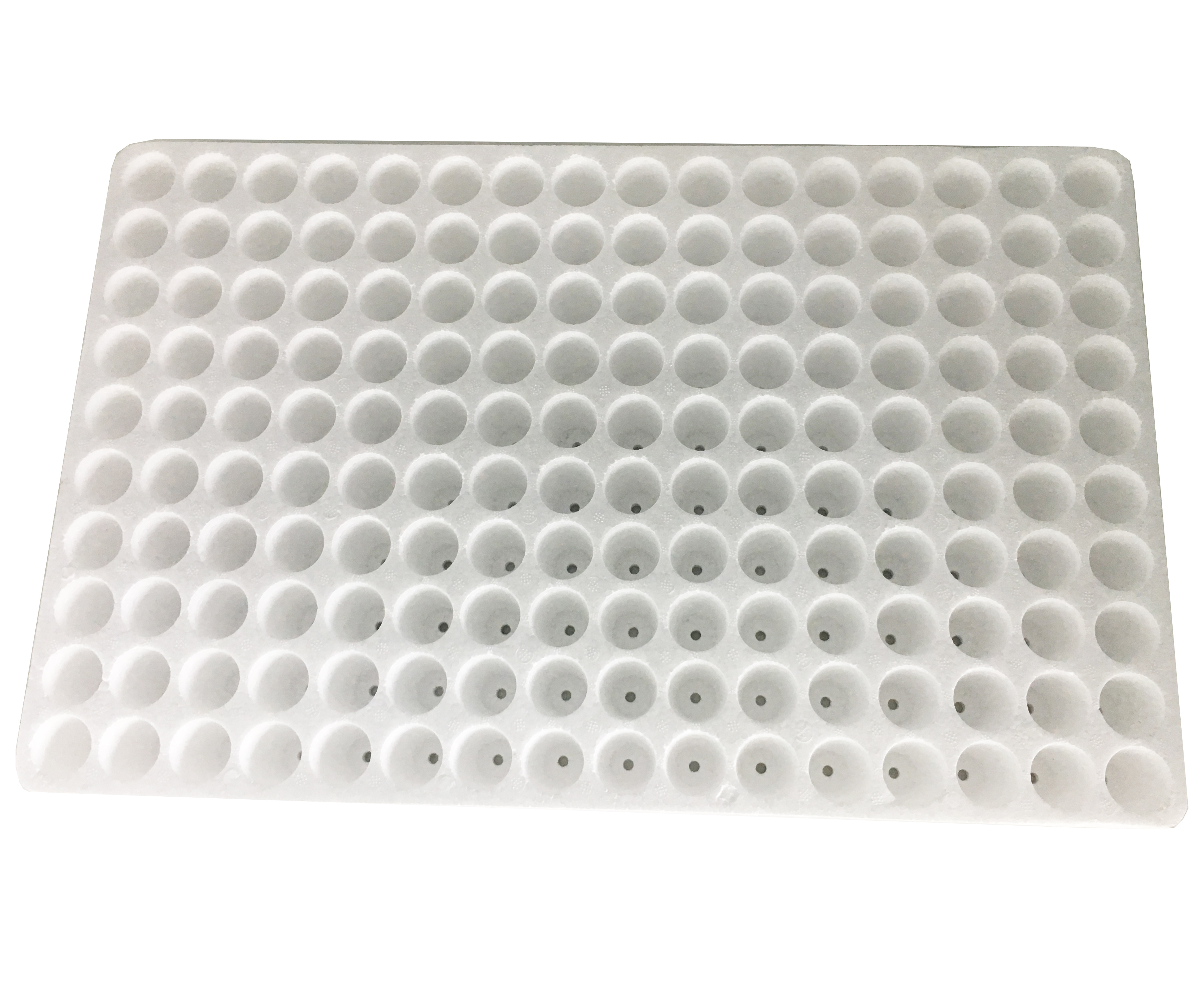 160 Holes Floating EPS EPP Foam Board For Growing White Seedling Vegetables