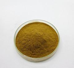 China Horse chestnut extract,Aesculus chinesis bge. Esicin 20%,98% wholesale