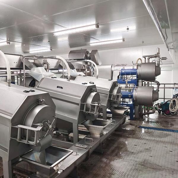 50T/H Industrial Mango Processing Line Automatic Mango Processing Plant