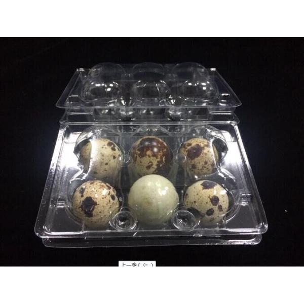 hot sells egg trays clear quail egg trays with 6 holes 2*3 holes PVC / PET / APET... quail egg container