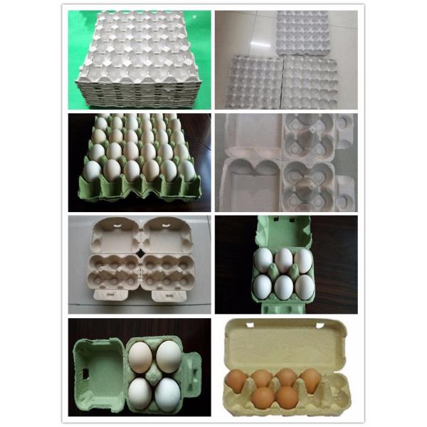 Recycling Fruit Tray Making Machine