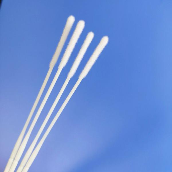 Quality Nasopharyngeal Swab Sterile Nylon Flocked Nasal Swab for sale
