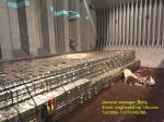 T3 T4 Electrolytic Tinplate Sheet