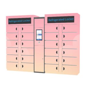 China Goods Smart Refrigerated Locker Smart Electronic Vegetable Frozen wholesale