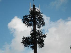 China Pine Tree 50m Camouflage Cell Tower For Telecommunication on sale