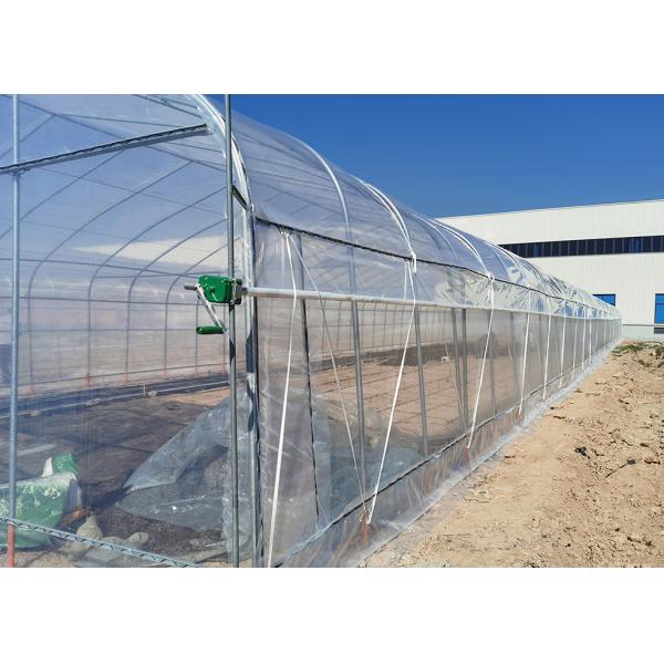 Commercial Plastic Film Greenhouse Hydroponic Hot Dipped Galvanized Steel Structure