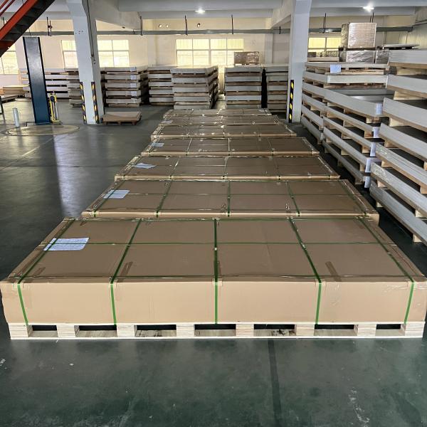 Modern Design 2300*960mm Stone Plastic Composite Wall Panel for Interior and Furniture