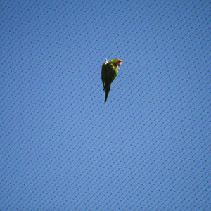 Stainless Steel Wire Rope Mesh