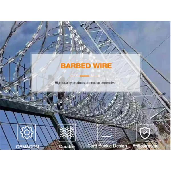 Hot Dipped Galvanized Razor Barbed Wire Cbt 65 Bto 30 Bto-22 Concertina Blade