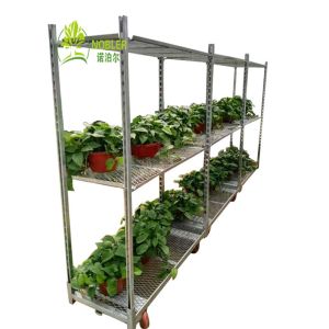 Dutch Cart Danish Container Vegetbable Plants Nursery Growing Trolley