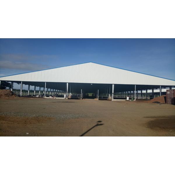 Galvanized Poultry Light Steel Frame Construction Bolts Connection Steel Chicken House