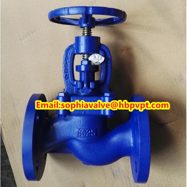 valve body GG25 PN16 cast iron globe valve