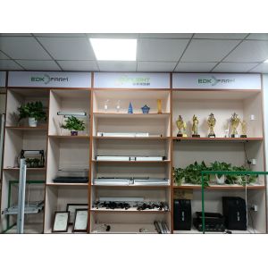 Shenzhen Sunlight Lighting Co., Ltd.