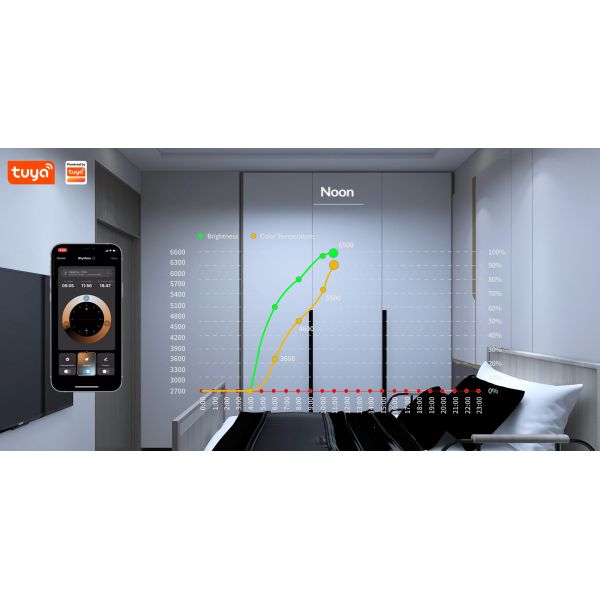 CCT Smart Wifi Controller Tuya Platform 5-24V DC input Circadian Lighting