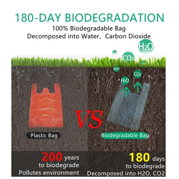 Recyclable Earth Friendly Plastic Bags 1LB Degradable Shopping Bags