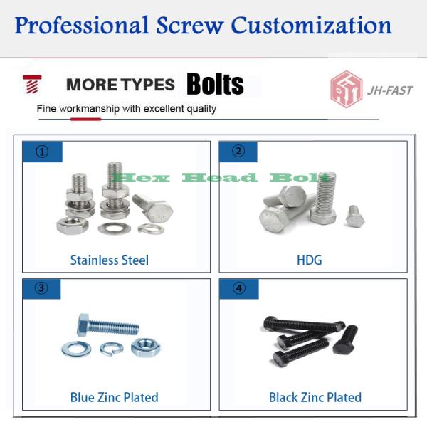 OEM/ODM Hex Head Bolts with Galvanized/HDG/Black/Blue Zinc Plated Finish and M8 M10 M12 Threads